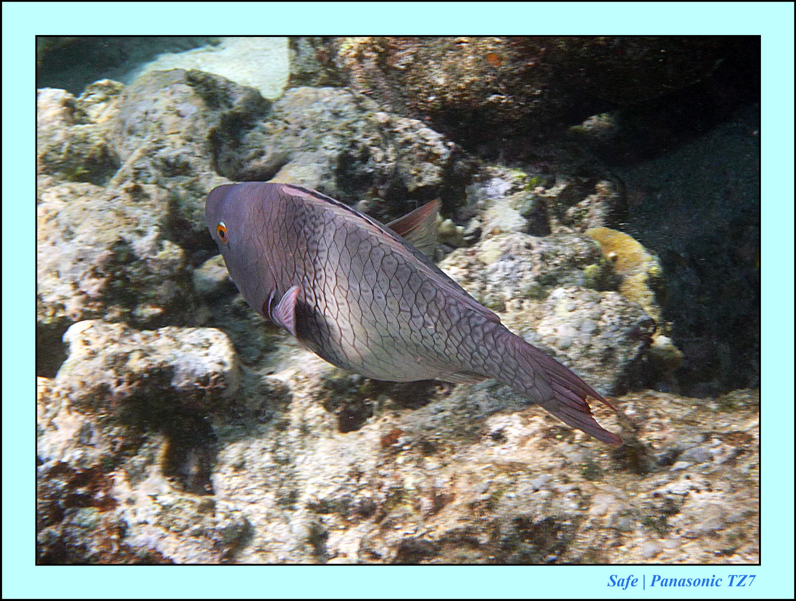 2012 - 07 - Gili - 59